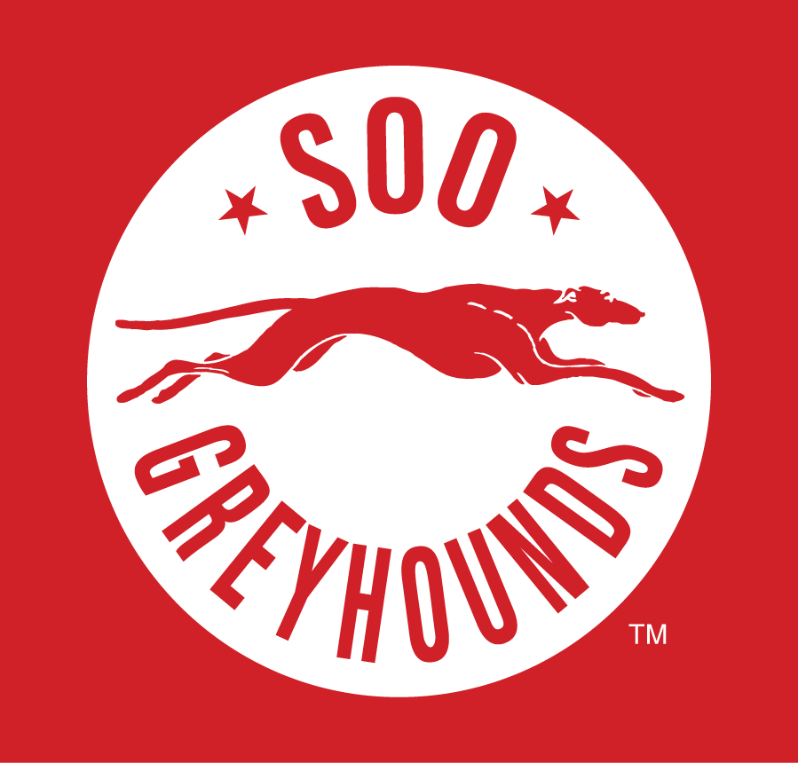 Sault Ste. Marie Greyhounds 2013 14-Pres Alternate Logo vinyl decal